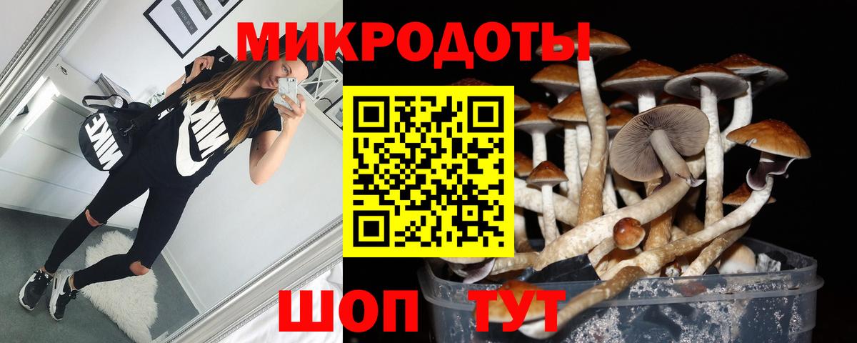 Псилоцибиновые грибы мухоморы  Вход с VPN  Надым  что такое наркотик  Псилоцибиновые грибы Psilocybine cubensis 